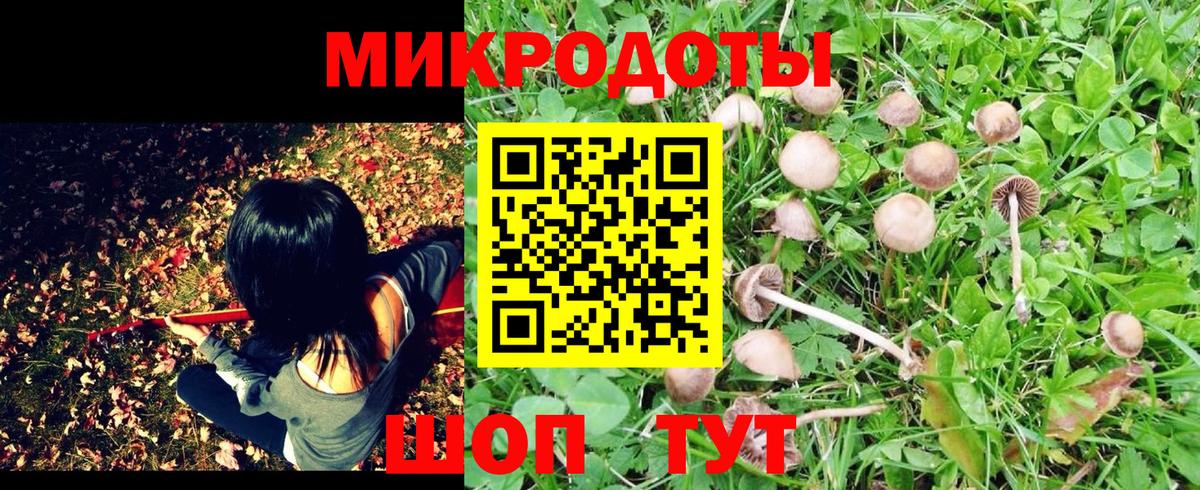 Галлюциногенные грибы GOLDEN TEACHER  Галлюциногенные грибы мухоморы  Вход с VPN  Лесной 